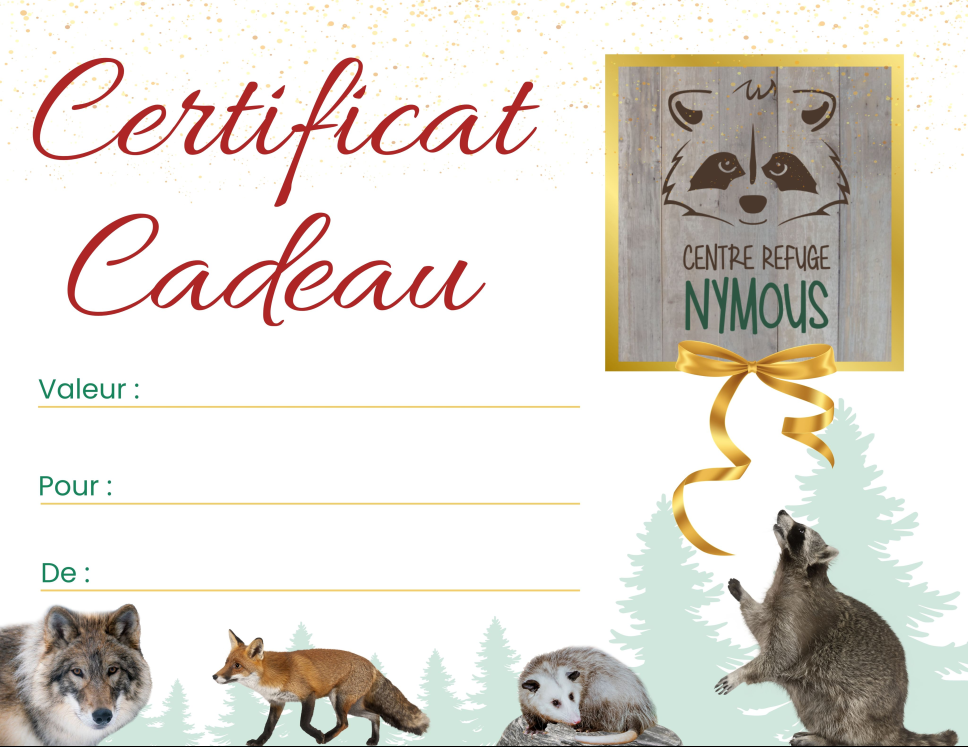 Certificat Cadeau