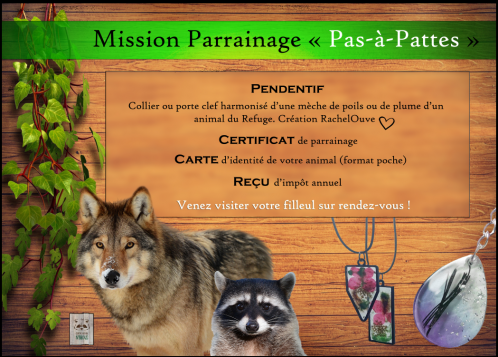Mission Parainnage